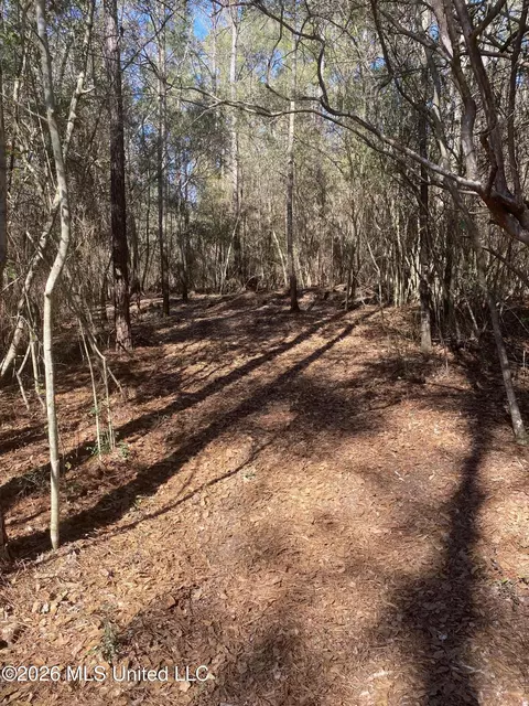 Other - 65 Gartman Rd, Perkinston, MS 39573 photo 15 of 16