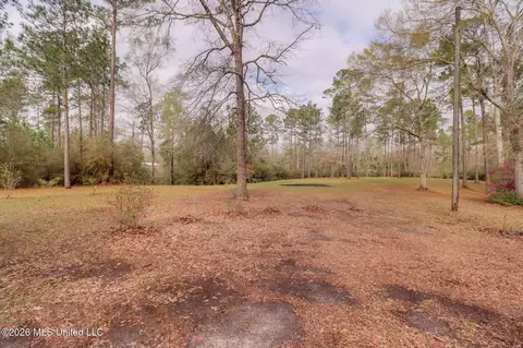 Exterior - 65 Gartman Rd, Perkinston, MS 39573 photo 14 of 14