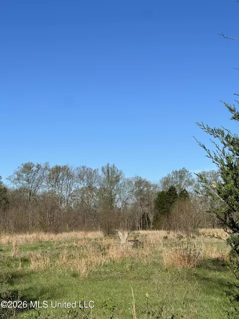 Ms-469, Florence, MS 39073