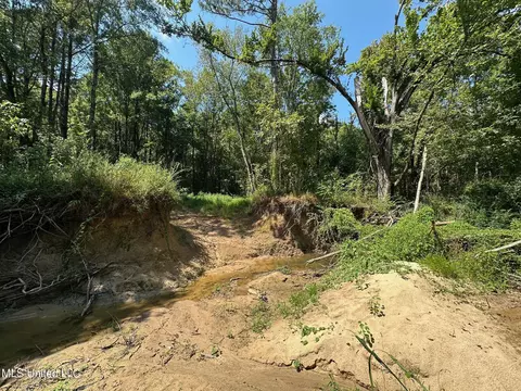 2 Forest Service Road 562, Pulaski, MS 39152 photo 21