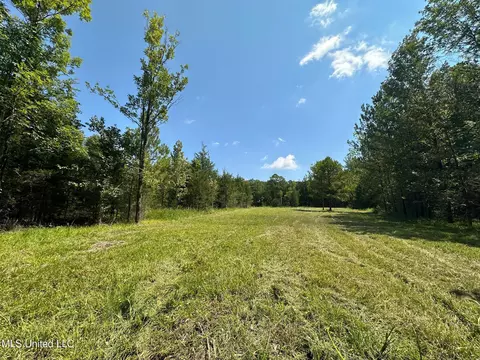 2 Forest Service Road 562, Pulaski, MS 39152 photo 24