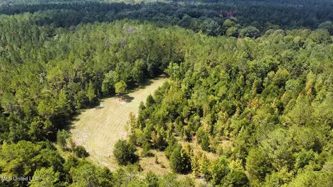 2 Forest Service Road 562, Pulaski, MS 39152 photo 45