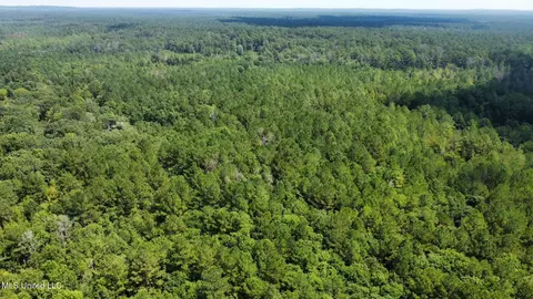 2 Forest Service Road 562, Pulaski, MS 39152 photo 50