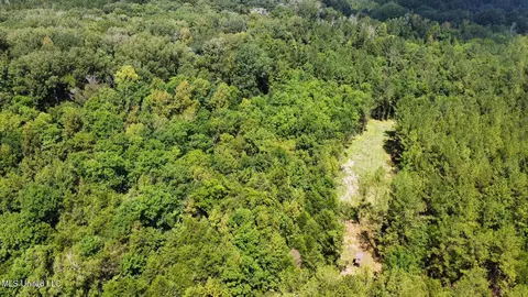 2 Forest Service Road 562, Pulaski, MS 39152 photo 43