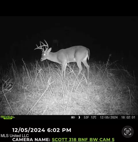 2 Forest Service Road 562, Pulaski, MS 39152 photo 7