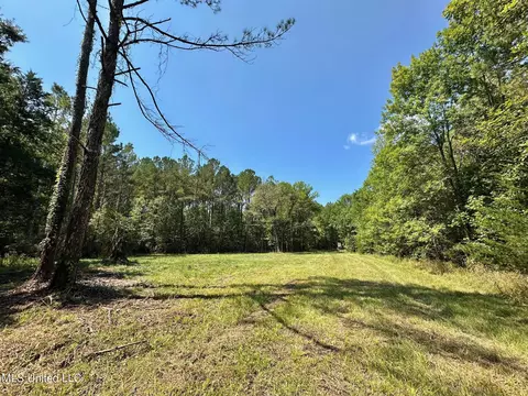 2 Forest Service Road 562, Pulaski, MS 39152 photo 12