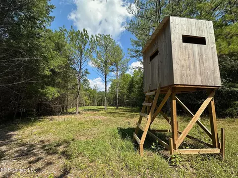 2 Forest Service Road 562, Pulaski, MS 39152 photo 26