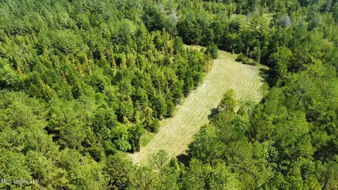 2 Forest Service Road 562, Pulaski, MS 39152 photo 42