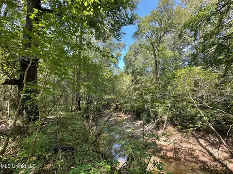 2 Forest Service Road 562, Pulaski, MS 39152 photo 17