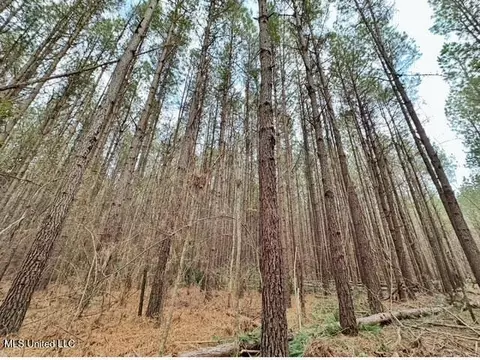 2 Forest Service Road 562, Pulaski, MS 39152 photo 33