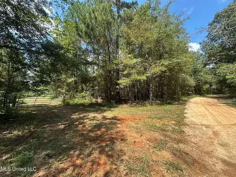 2 Forest Service Road 562, Pulaski, MS 39152 photo 32