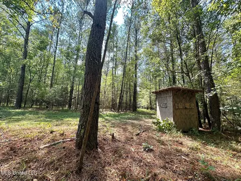 2 Forest Service Road 562, Pulaski, MS 39152 photo 23