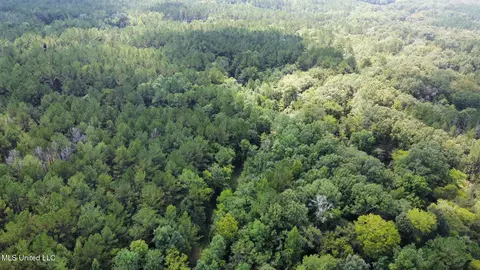 2 Forest Service Road 562, Pulaski, MS 39152 photo 46