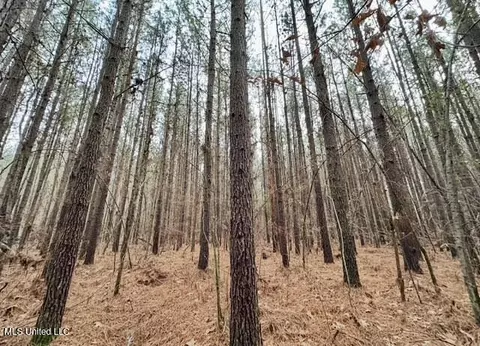 2 Forest Service Road 562, Pulaski, MS 39152 photo 34