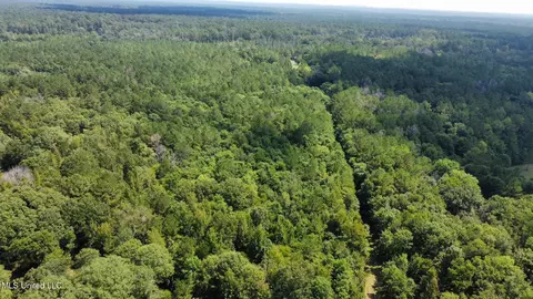 2 Forest Service Road 562, Pulaski, MS 39152 photo 49
