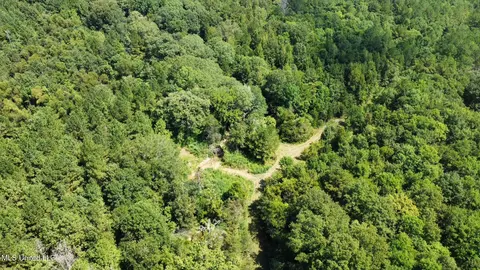 2 Forest Service Road 562, Pulaski, MS 39152 photo 48