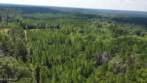 2 Forest Service Road 562, Pulaski, MS 39152 photo 44