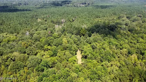 2 Forest Service Road 562, Pulaski, MS 39152 photo 47