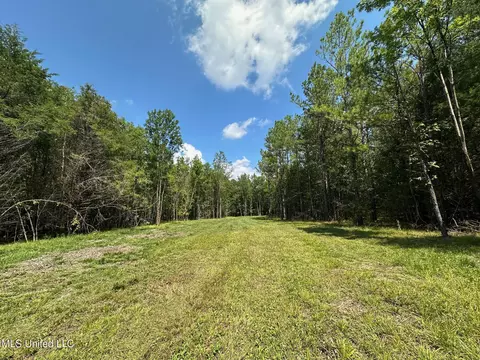 2 Forest Service Road 562, Pulaski, MS 39152 photo 27