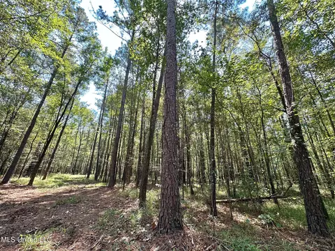 2 Forest Service Road 562, Pulaski, MS 39152 photo 15