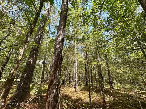 2 Forest Service Road 562, Pulaski, MS 39152 photo 20