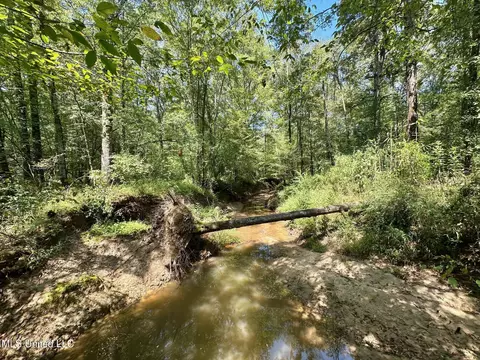 2 Forest Service Road 562, Pulaski, MS 39152 photo 19