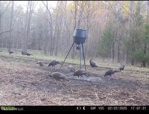 2 Forest Service Road 562, Pulaski, MS 39152 photo 35