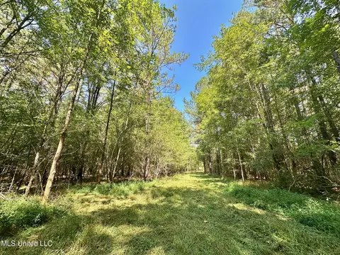 2 Forest Service Road 562, Pulaski, MS 39152 photo 14