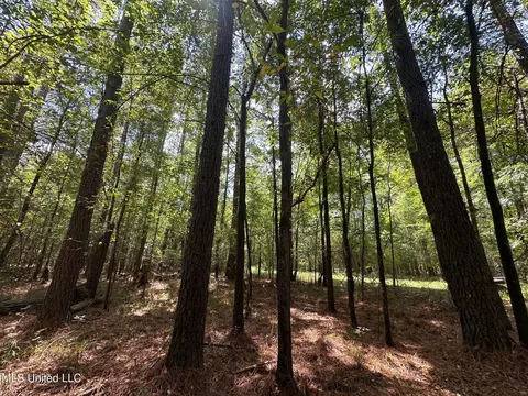 2 Forest Service Road 562, Pulaski, MS 39152 photo 31