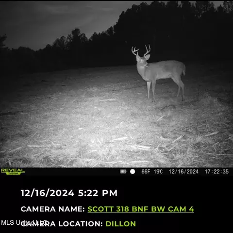 2 Forest Service Road 562, Pulaski, MS 39152 photo 4