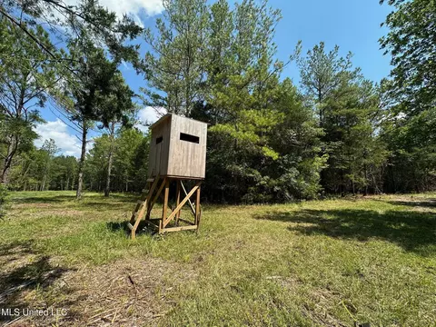 2 Forest Service Road 562, Pulaski, MS 39152 photo 25