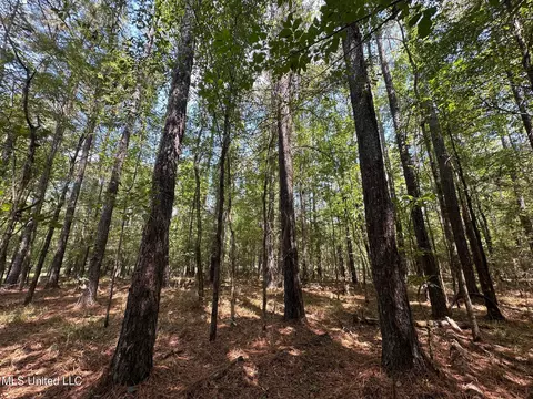 2 Forest Service Road 562, Pulaski, MS 39152 photo 29