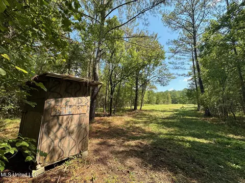 2 Forest Service Road 562, Pulaski, MS 39152