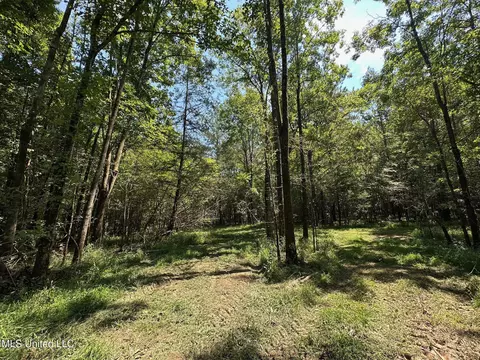 2 Forest Service Road 562, Pulaski, MS 39152 photo 22