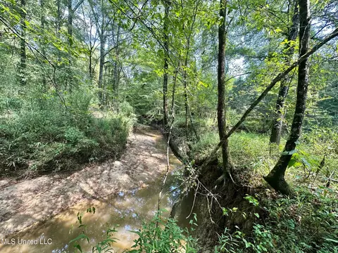 2 Forest Service Road 562, Pulaski, MS 39152 photo 18