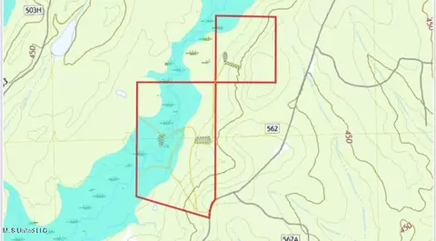 2 Forest Service Road 562, Pulaski, MS 39152 photo 52