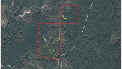 2 Forest Service Road 562, Pulaski, MS 39152 photo 51