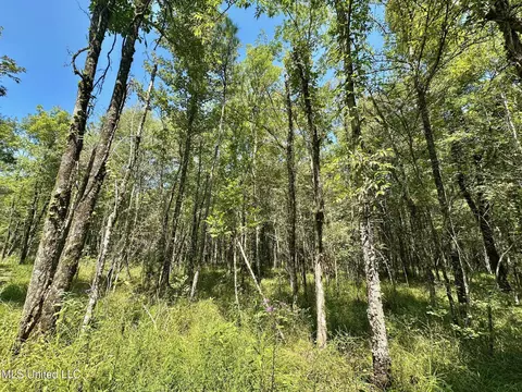 2 Forest Service Road 562, Pulaski, MS 39152 photo 16