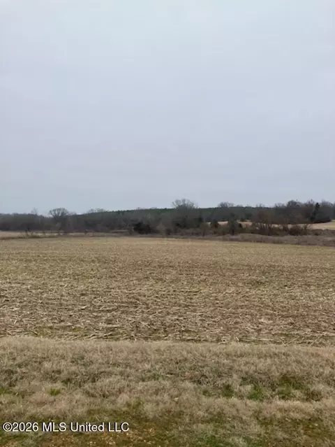 9002 Lot 3 Hudson Rd, Hernando, MS 38632