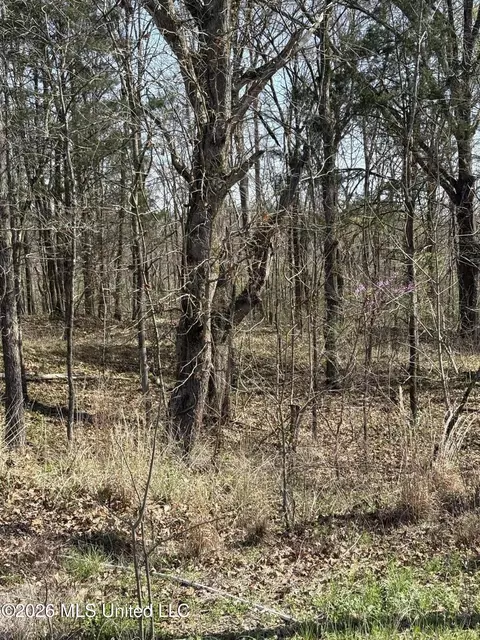 0 Nolan Rd, Olive Branch, MS 38654