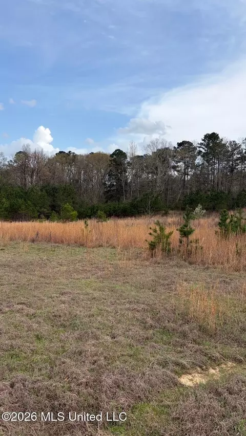 0 N Hwy 43, Pelahatchie, MS 39145