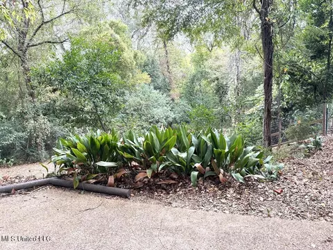 Other - 102 Dana Rd, Natchez, MS 39120 photo 4 of 8