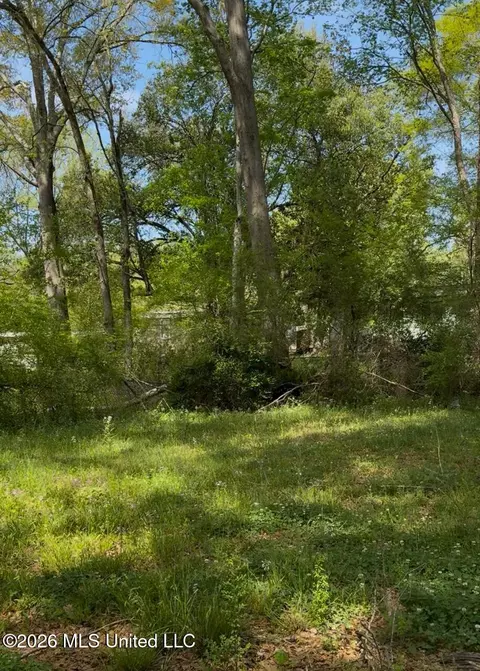 1136 Killarney St, Jackson, MS 39212 photo 8