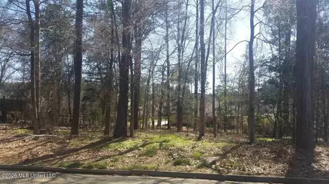 208 Breezy Hill Dr, Madison, MS 39110