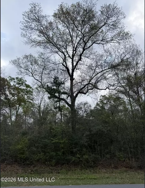 lot10 Northrup Cuevas Rd, Gulfport, MS 39503