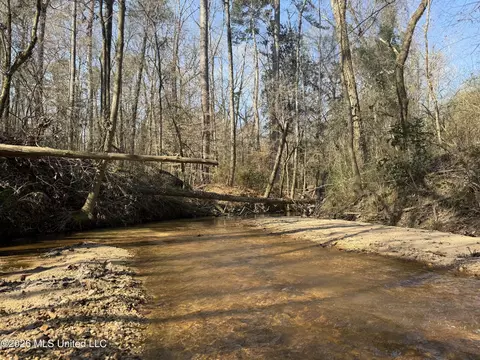 Railroad Lane, Pinola, MS 39149