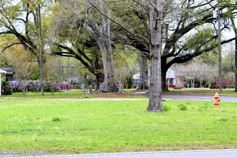 22 Acres Mill St, Lucedale, MS 39452 photo 4