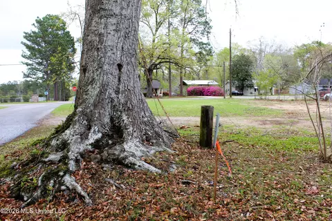 22 Acres Mill St, Lucedale, MS 39452 photo 7