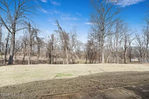 Exterior - 6448 Skyler Rd, Walls, MS 38680 photo 5 of 6