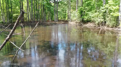 View/Area - 3112 W Highway 98, Summit, MS 39666 photo 3 of 3